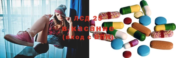 стаф Вязьма