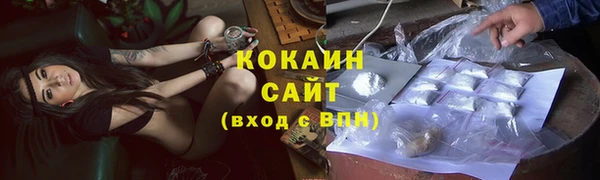 стаф Вязьма
