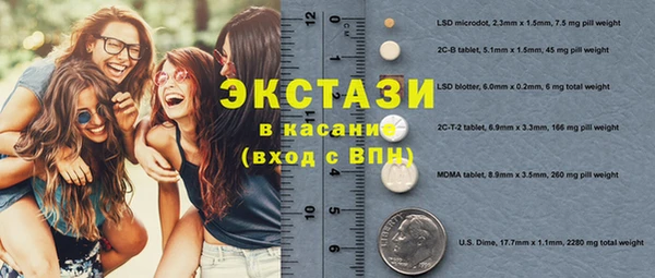 стаф Вязьма