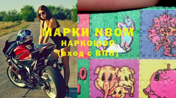 стаф Вязьма