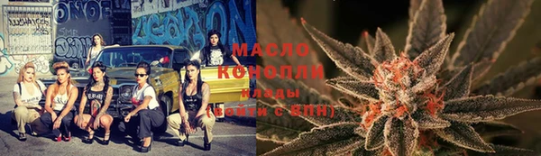 стаф Вязьма