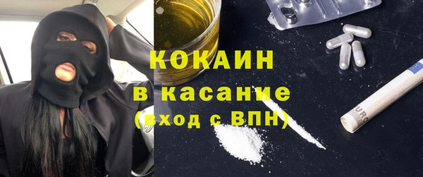 стаф Вязьма