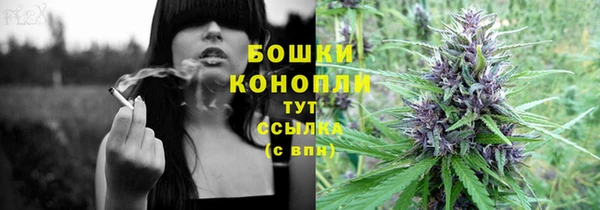 Альфа ПВП Вяземский
