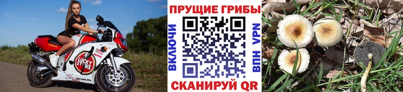Псилоцибиновые грибы мухоморы Коммунар